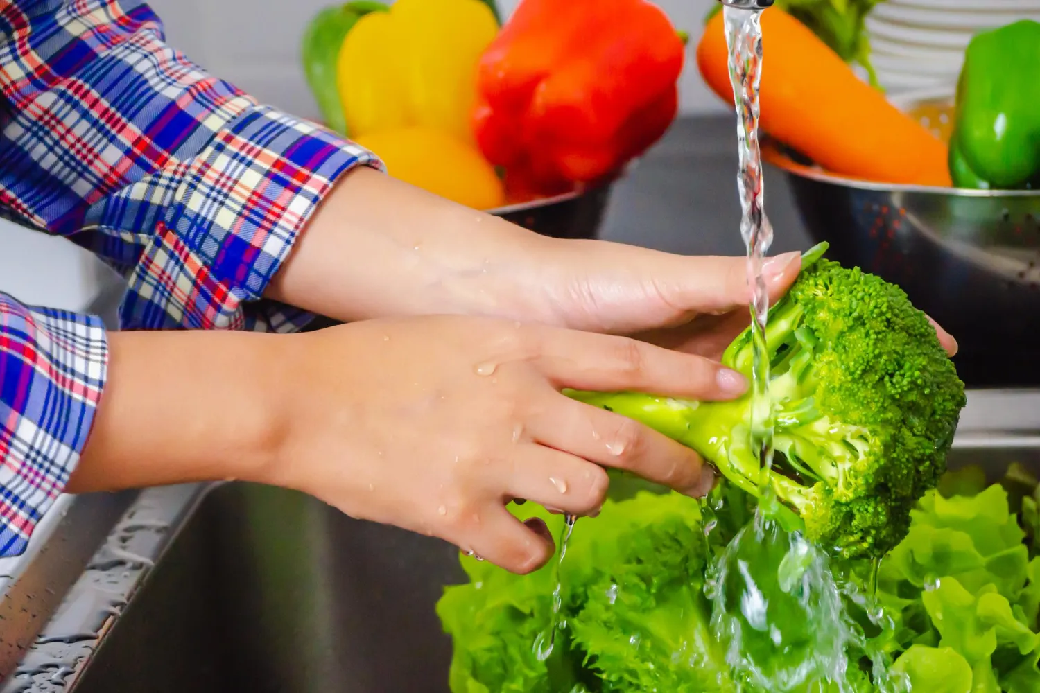 Analisis Perbandingan Air Garam dan Air Cuka dalam Proses Pencucian Sayur