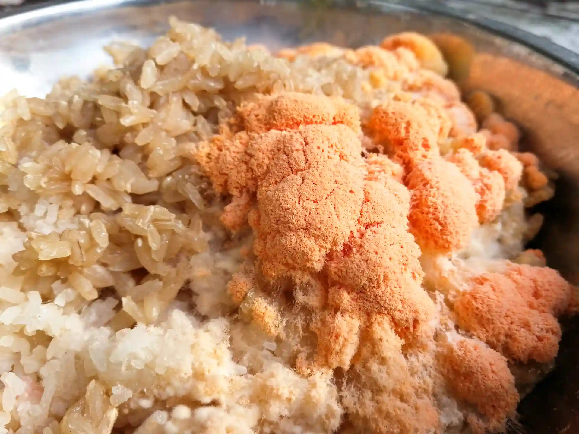 Kenapa Nasi Cepat Kuning? Ini Penjelasannya