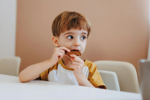 Peran Keseimbangan Tekstur Makanan dalam Pola Makan Sehat Anak cover